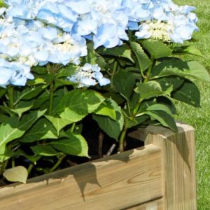 Alternative view of Bloembak 40?40 cm